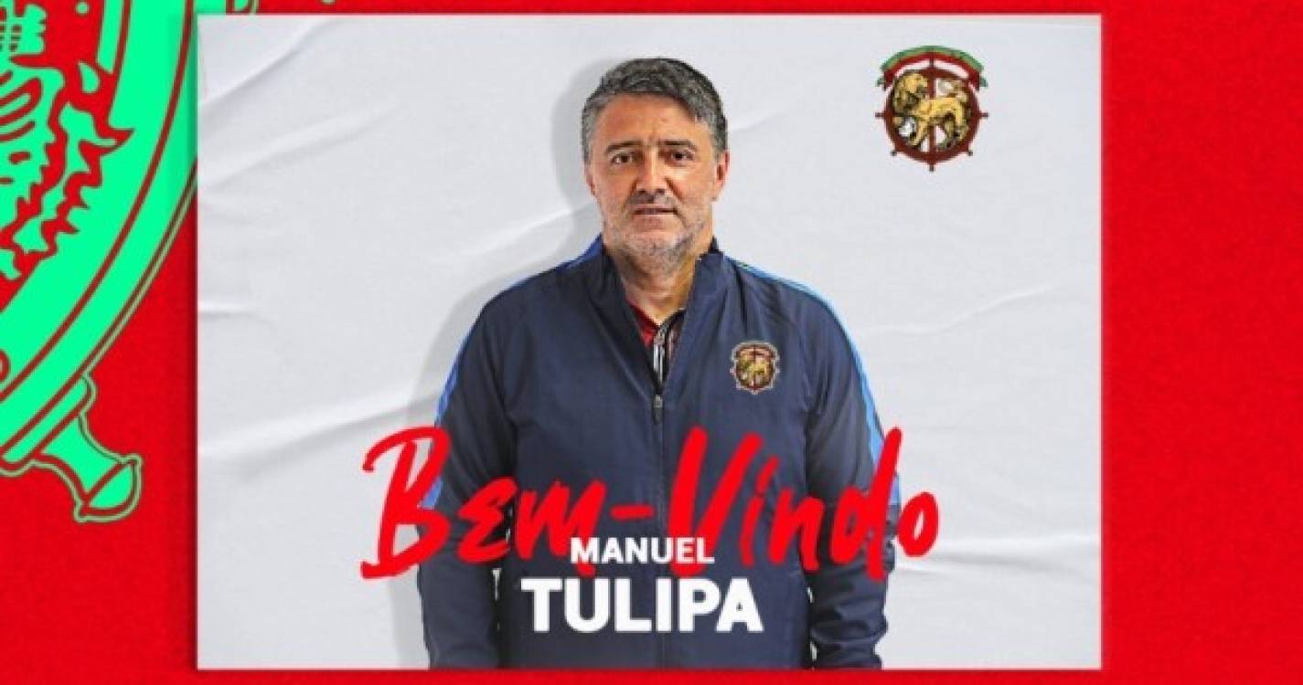 Tulipa quer colocar Marítimo &#34;onde merece&#34;