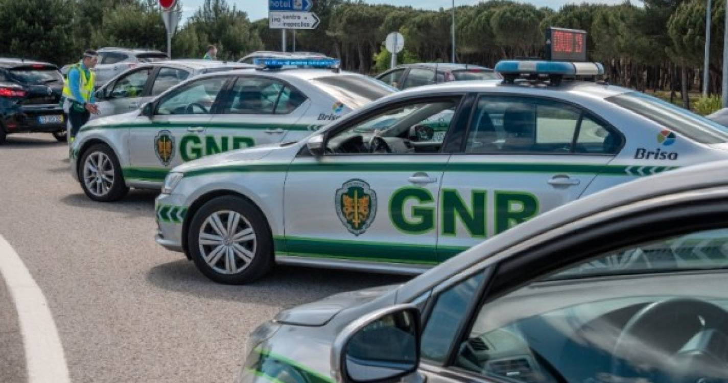 GNR de Aveiro apreende 30 quilos de amêijoa que terá sido capturada ilegalmente