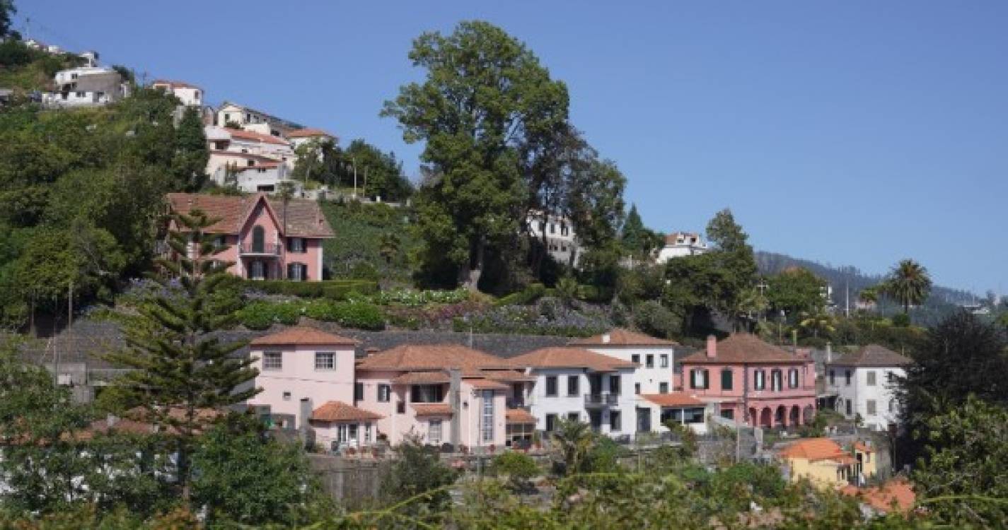 Censos 2021: Monte lidera perdas da população no Funchal