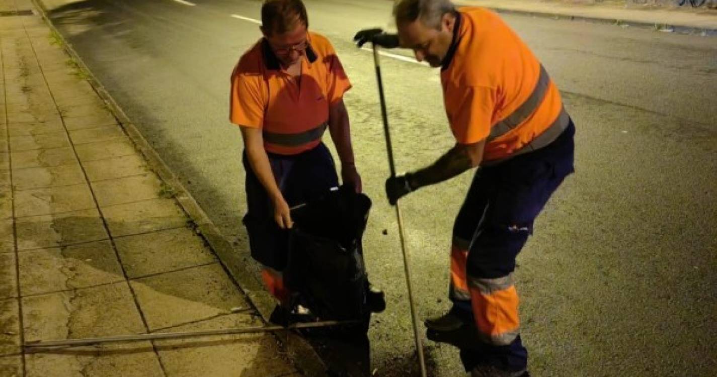 Câmara do Funchal reforça trabalhos preventivos de limpeza