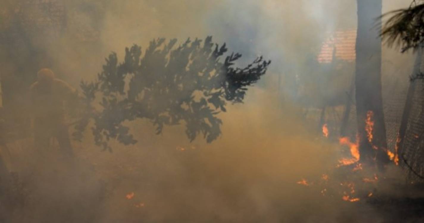 Incêndios: Fogo de Ourém reativou-se ao início da tarde