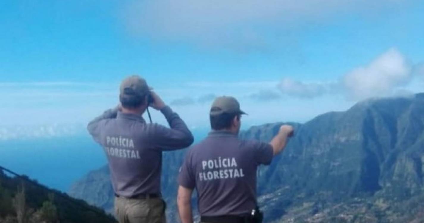Polícia Florestal identifica suspeito de atear fogo no Pico Cedro na Ribeira Brava