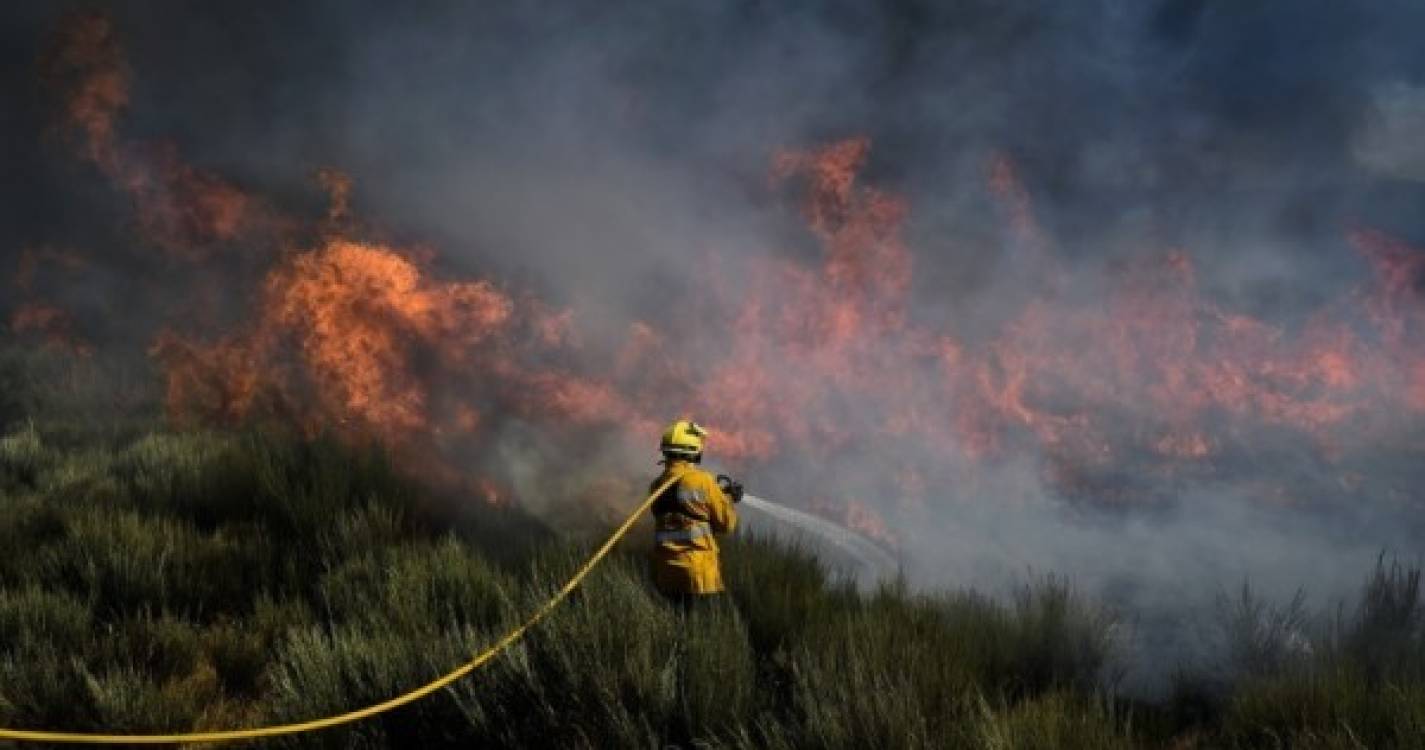 Incêndio: Extinto fogo que lavrou 22 dias e queimou 1.500 hectares em Ávila