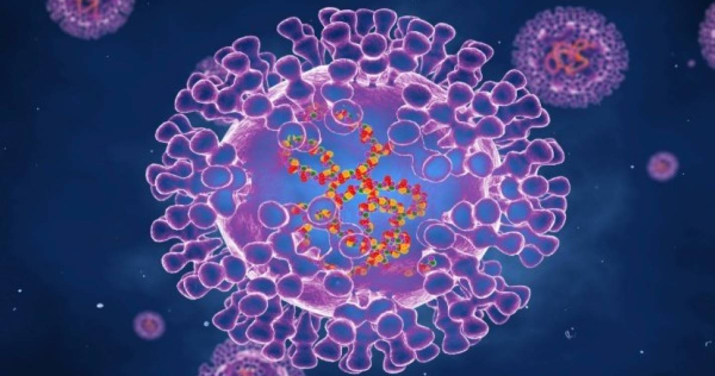 Portugal com 23 casos confirmados de varíola dos macacos