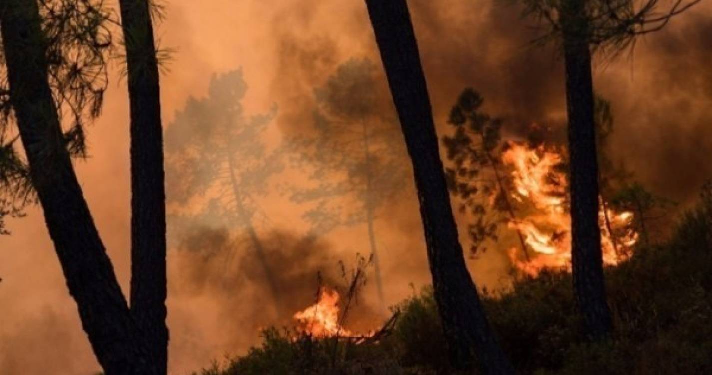 Vinte e um concelhos de quatro distritos em perigo máximo de incêndio