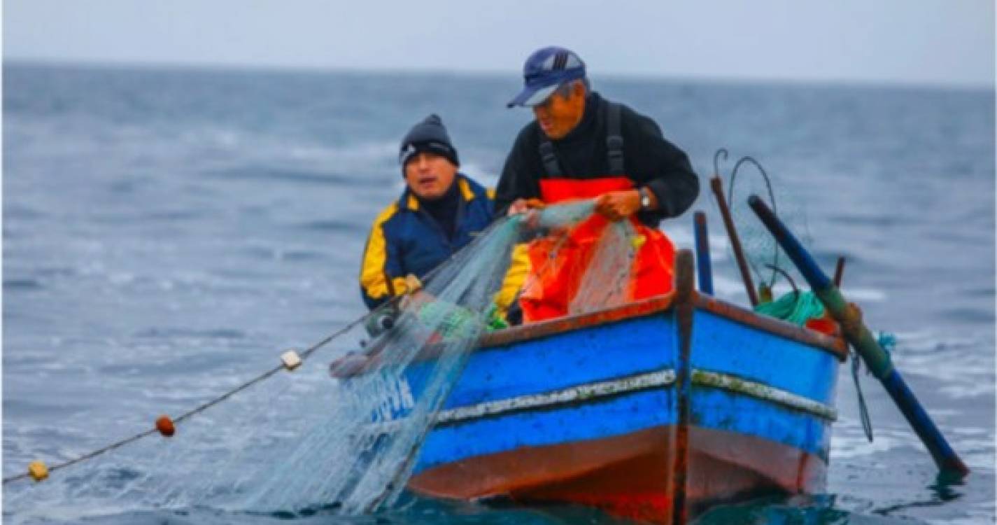 Governo quer aprovar estatuto da pequena pesca tradicional este ano