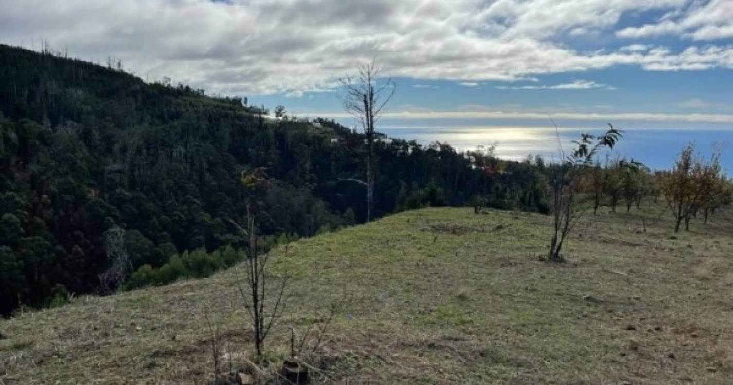 Terreno Agrícola