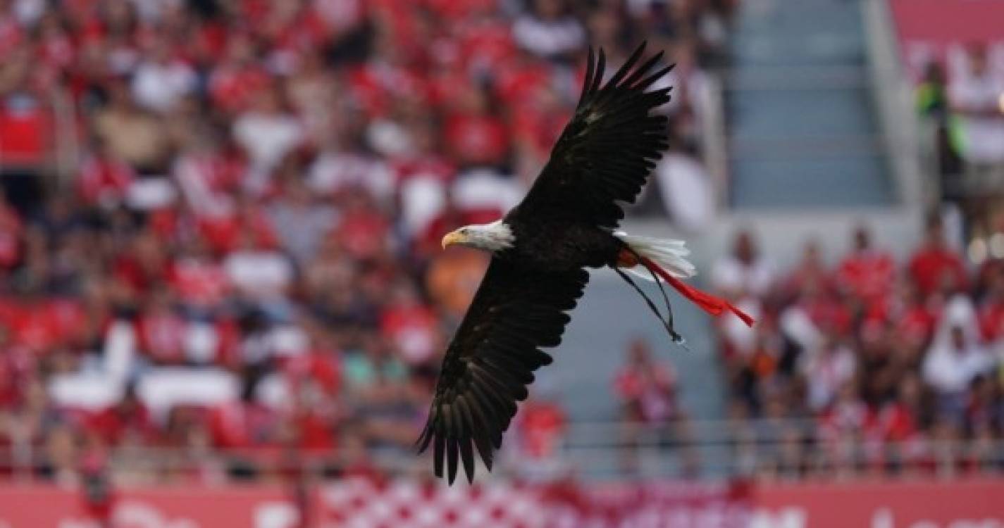 Benfica SAD atinge objetivo de 35 milhões de euros com emissão de títulos