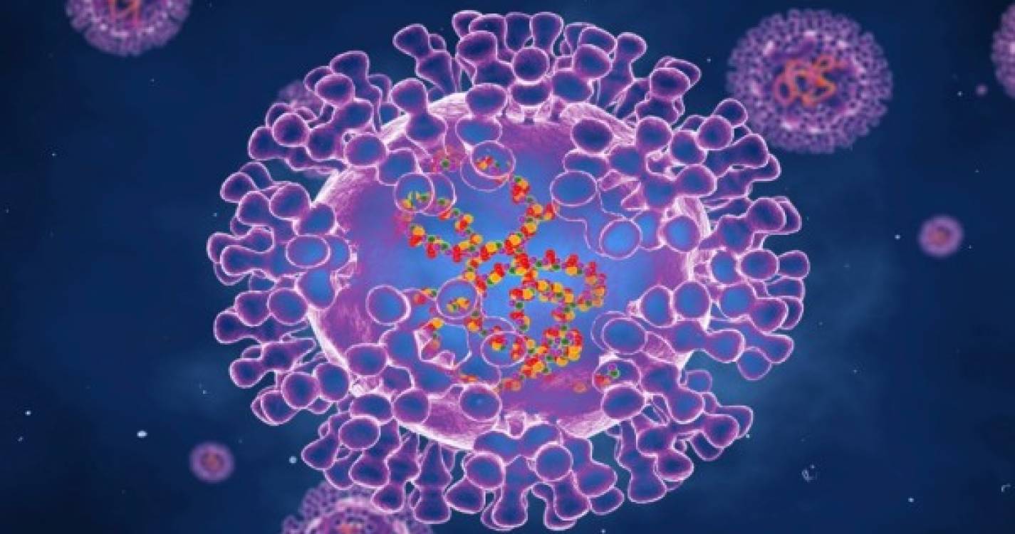 O que se sabe sobre o vírus Monkeypox?