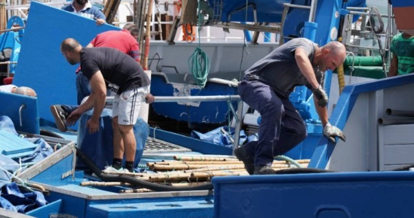 Projeto MEMCO na Calheta e em Machico