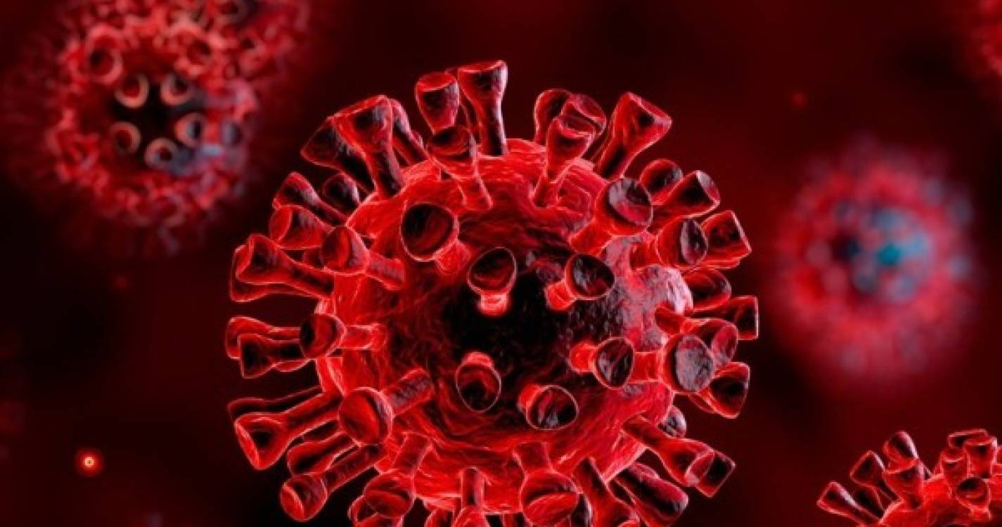 Covid-19: Mais 1.822 infeções, seis mortes e menos doentes internados nas últimas 24 horas