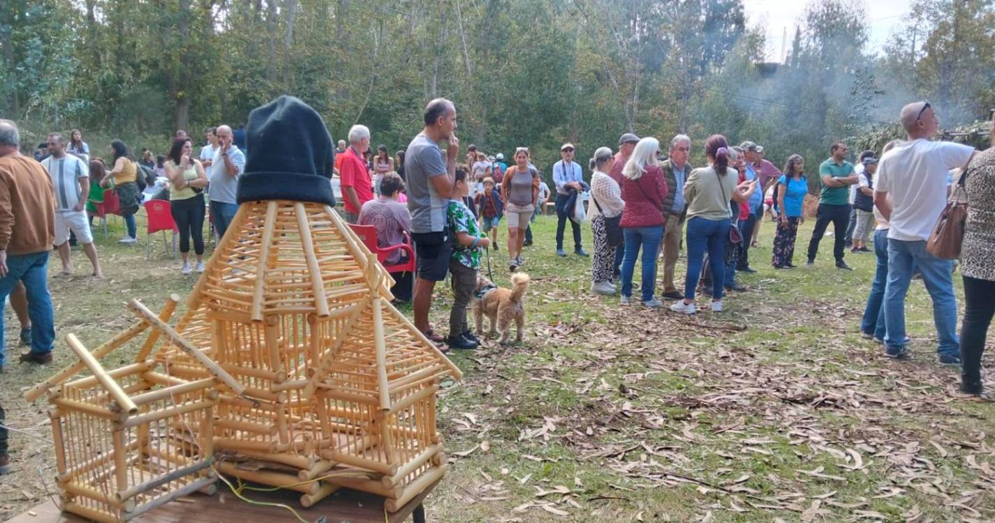 “Tradicional e genuína” Festa da Castanha da Serra levou centenas ao Chão do Boieiro (com fotos)