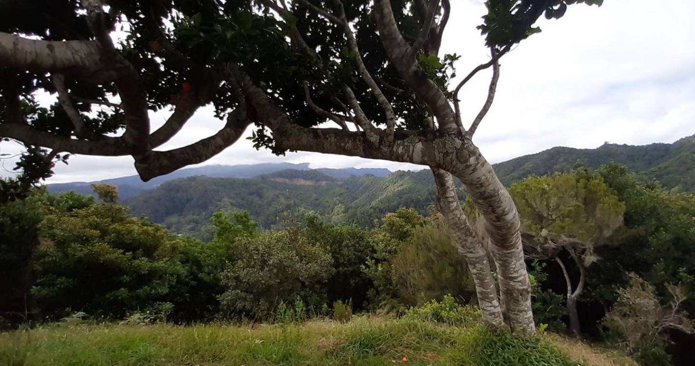 Clube de Ecologia Barbusano percorreu Serra das Funduras