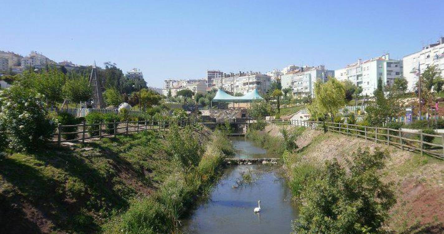 Estudo revela que ribeiras urbanas estão poluídas por fármacos