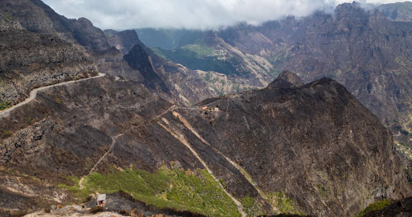 Do verde à cinza ‘num foguete’. Veja o ‘Antes e Depois’ dos incêndios.