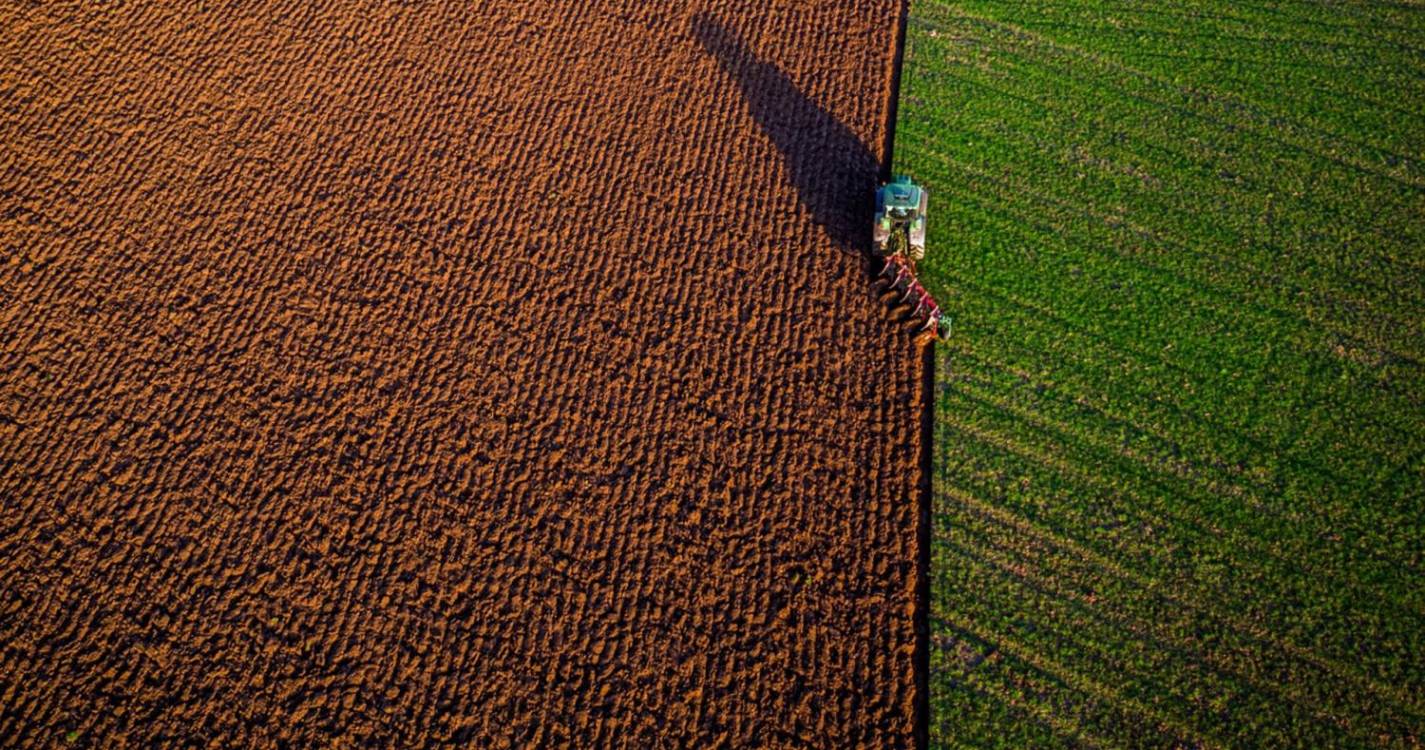 Israel: Quénia vai enviar trabalhadores agrícolas para o país