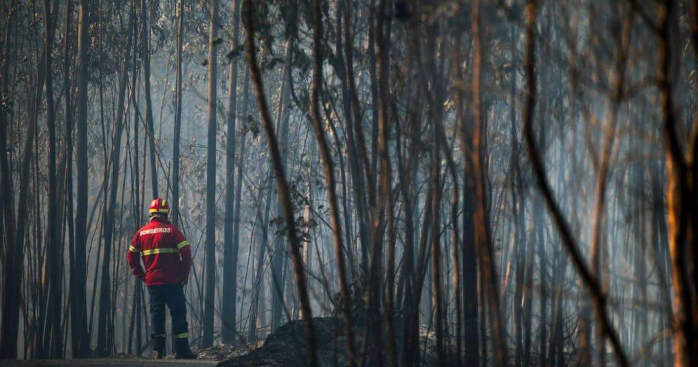 Incêndios: Fogo de Albergaria atingiu 20 casas e deixou vários desalojados