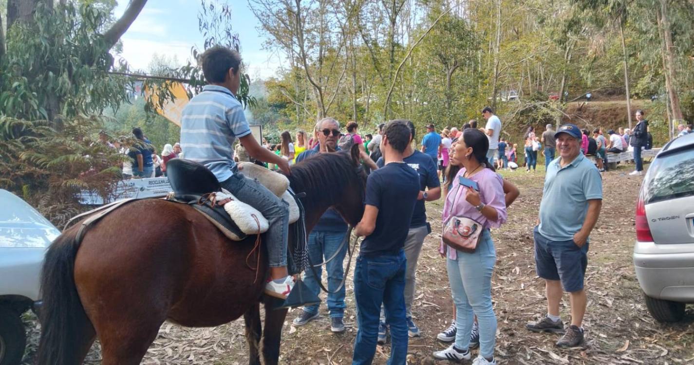 “Tradicional e genuína” Festa da Castanha da Serra levou centenas ao Chão do Boieiro (com fotos)