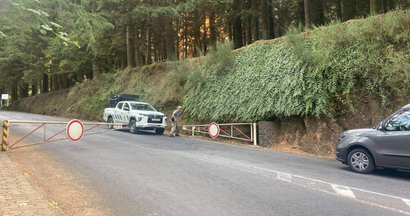 Incêndios: Acesso ao Pico do Areeiro encerrado (com fotos e vídeo)