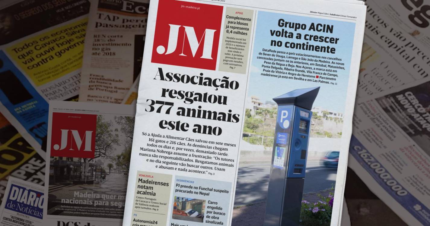 Associação resgatou 377 animais este ano