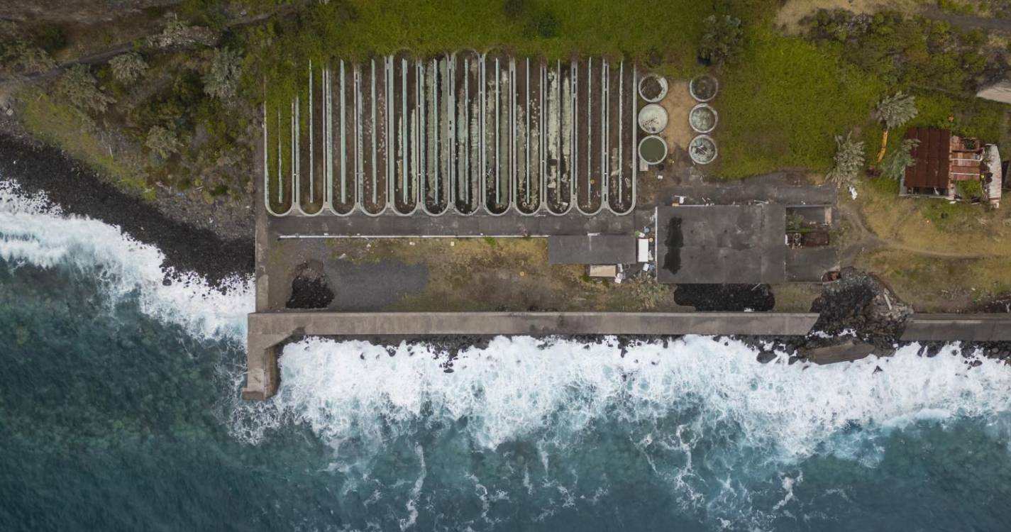 ‘Perdidos e Achados’: Piscicultura das Contreiras entregue ao abandono (com fotos)