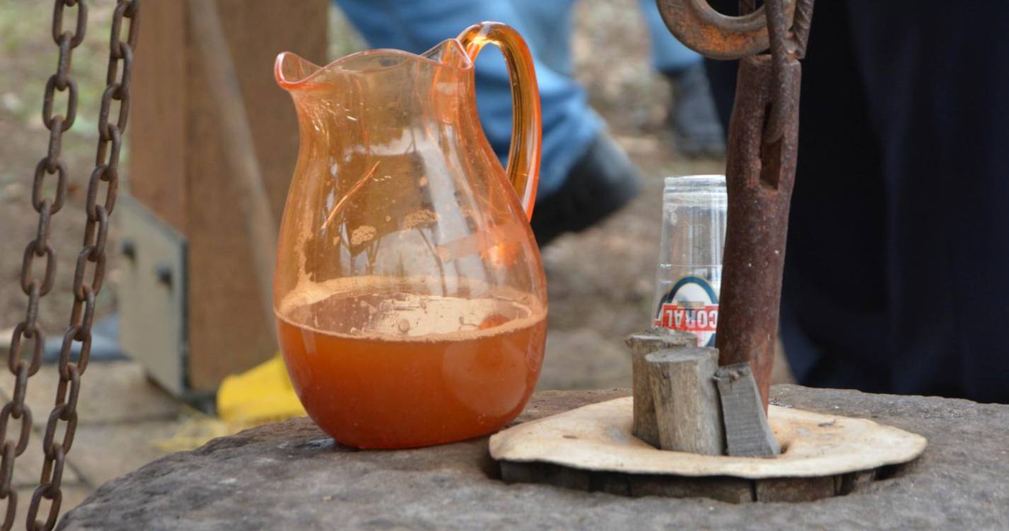 Produção de sidra poderá cair para metade