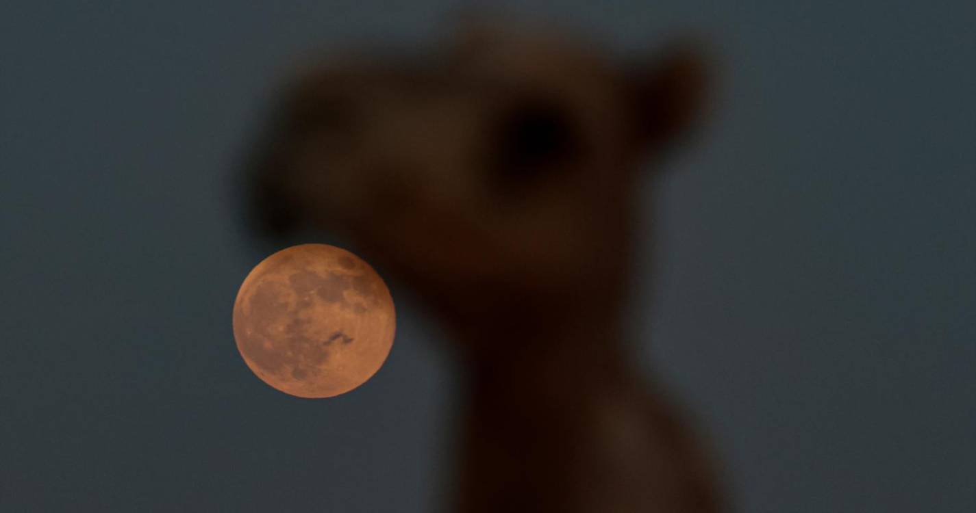 Superlua mais brilhante do ano foi captada nos quatro cantos do mundo. Veja as imagens