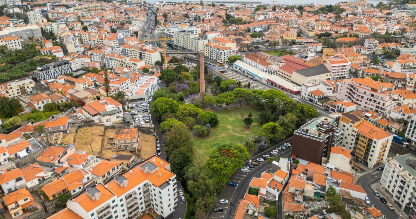 Carro atingido por galho no Funchal