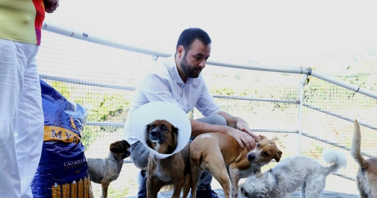 PAN Madeira defende IVA reduzido nos tratamentos veterinários para animais de companhia