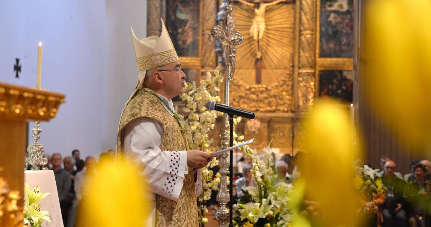 Bispo atento às guerras e lamenta que amor ao dinheiro esteja acima de outros valores