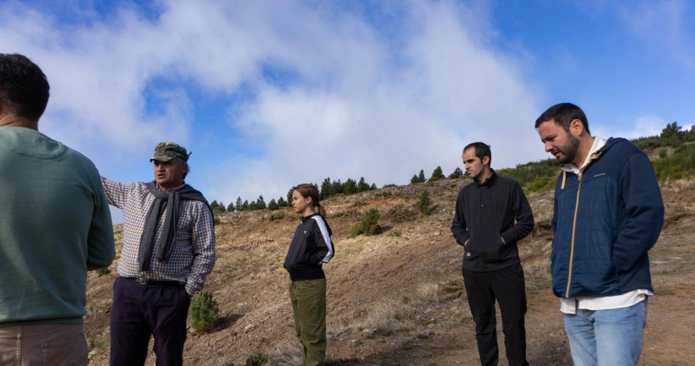 PAN defende a sua posição sobre o pastoreio na Madeira