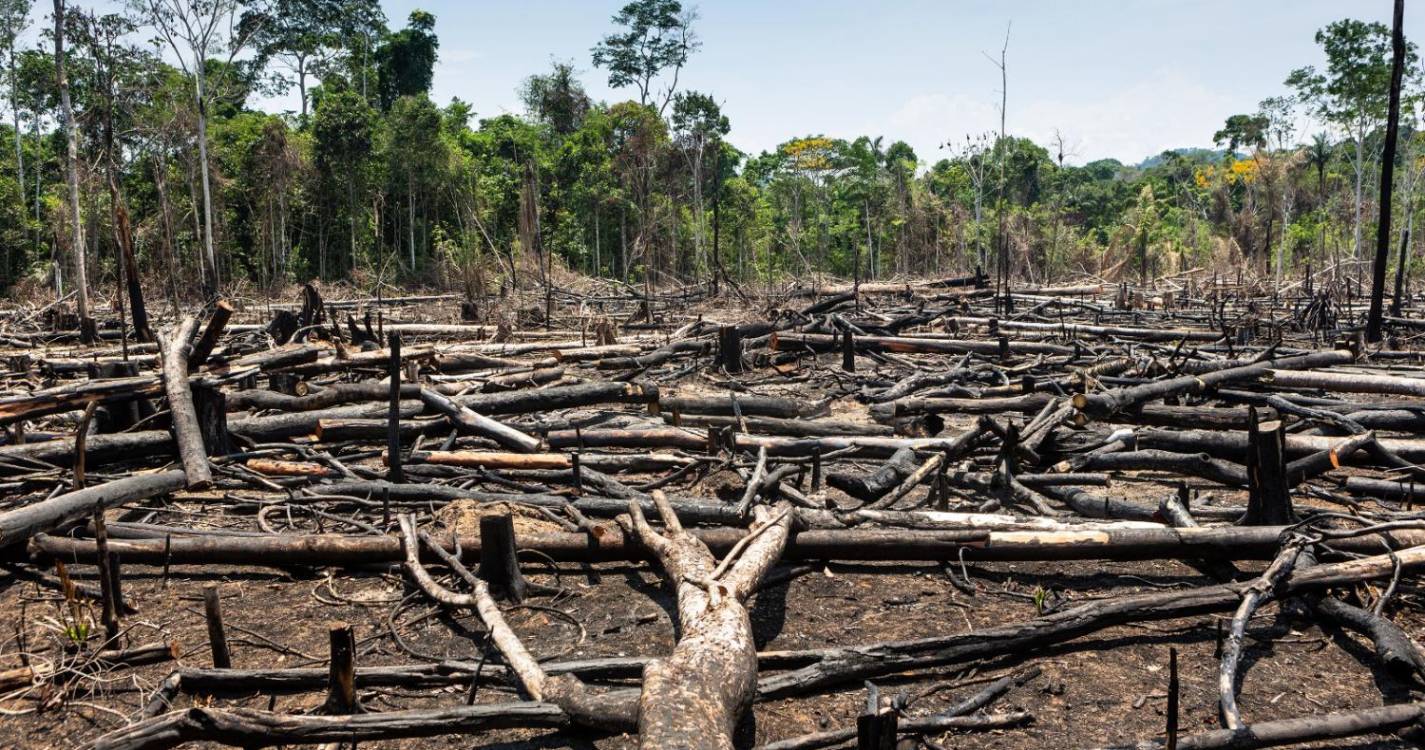 Incêndios afetam quase metade das terras indígenas de Mato Grosso, no Brasil