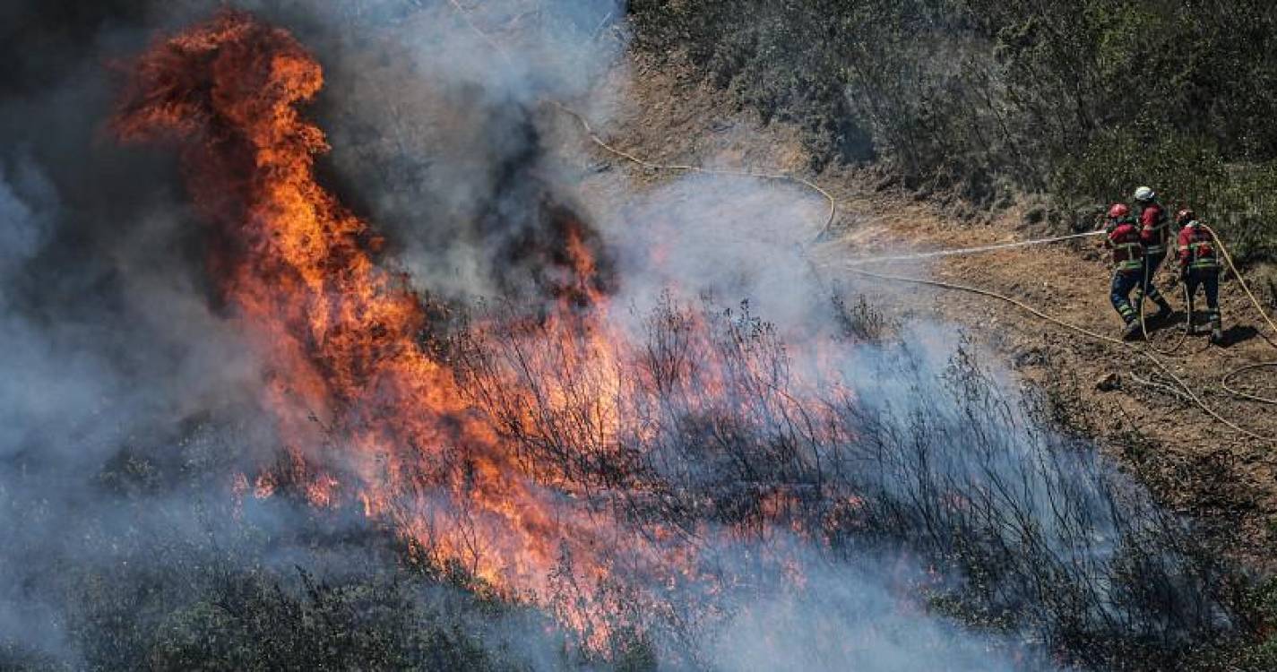 Incêndios: PJ deteve suspeito de atear fogo que ajudou a combater em Sátão