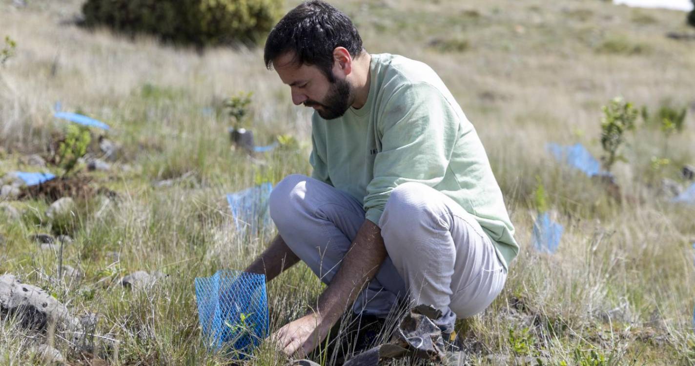 PAN reforça a importância do combate às plantas invasoras