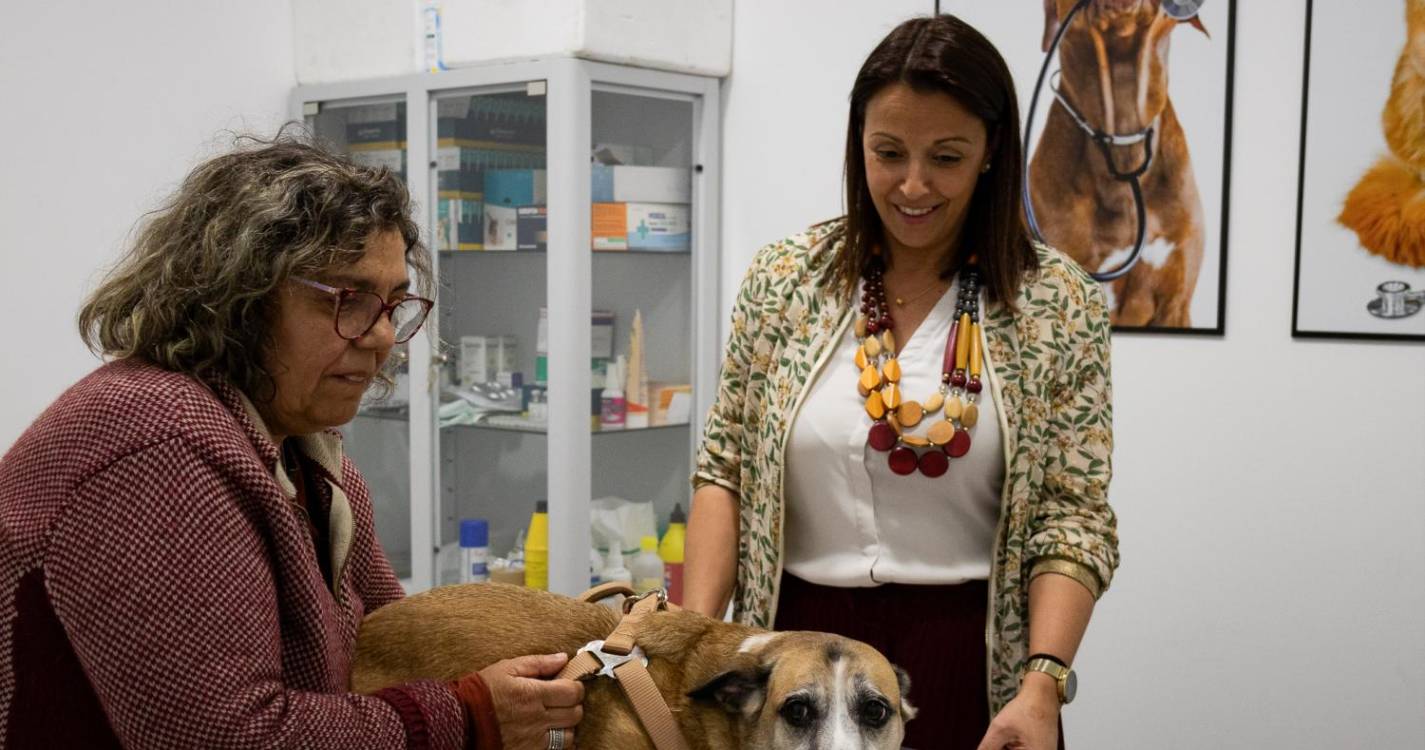 Funchal lança nova campanha gratuita de profilaxia médica para cães e gatos a 19 de Outubro