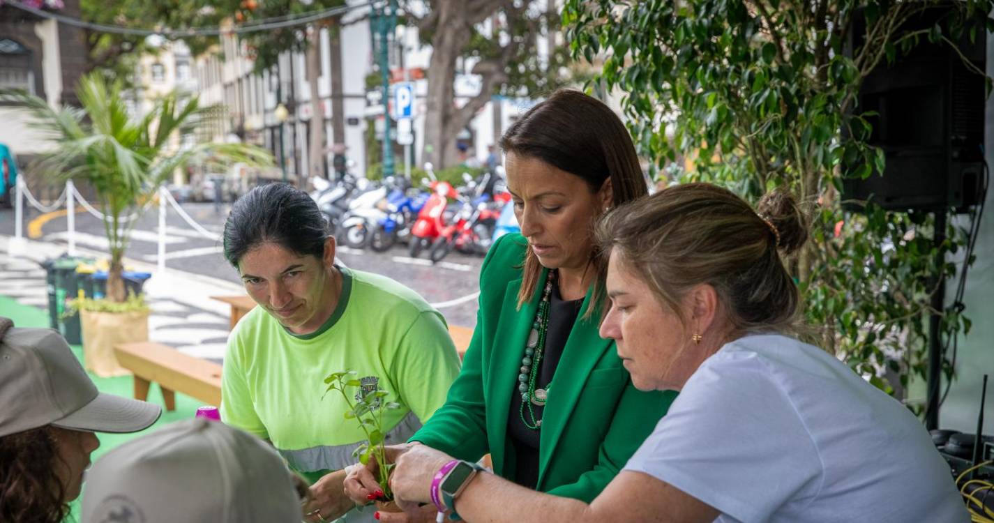 Jardins são o tema do quarto dia da Semana do Ambiente de 2024