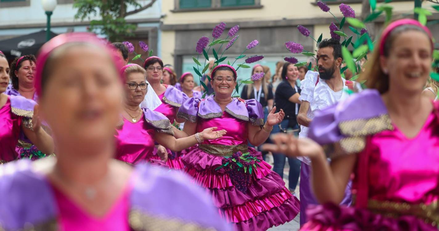 Marchas Populares nas ruas do Funchal (com fotos)