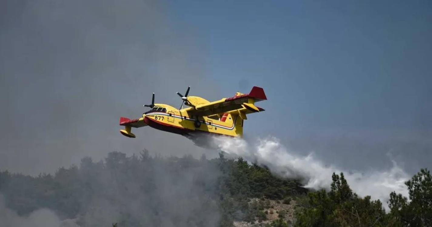 Incêndios: Dois aviões canadair de Espanha chegam hoje a Portugal