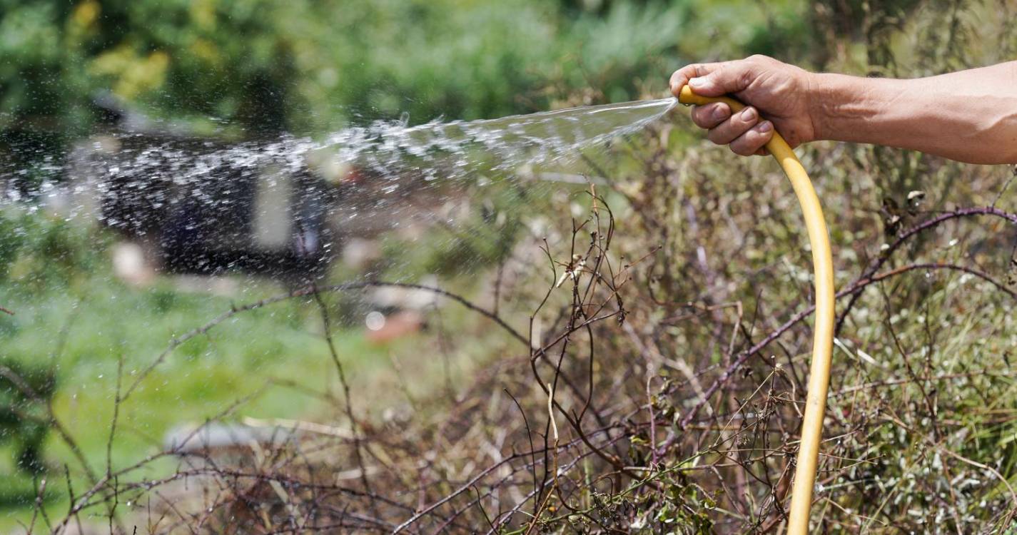 Incêndio: Câmara do Funchal apela à população para poupar água