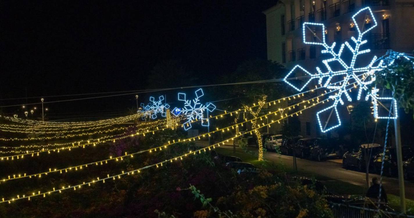 Veja a iluminação e decoração de Natal em Santa Cruz