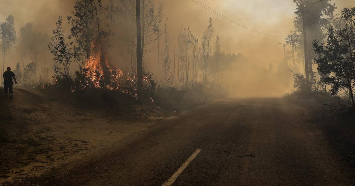 Incêndios: Dois mortos em Sever do Vouga e Albergaria-a-Velha