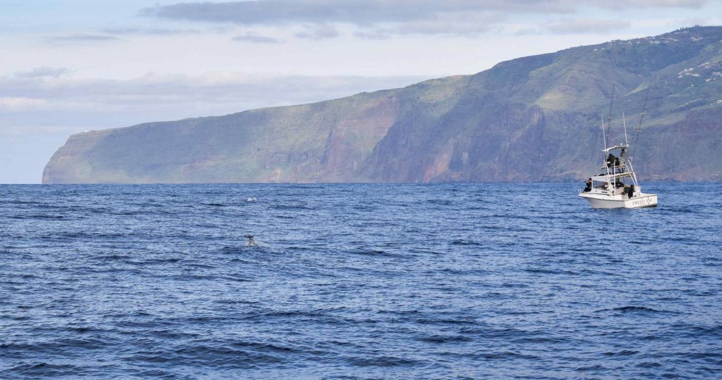 Agitação marítima forte na Madeira até a tarde de quarta-feira