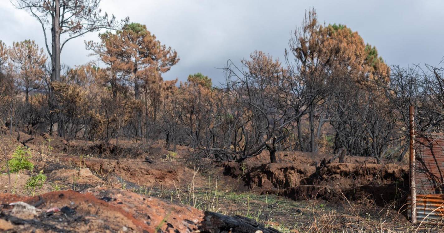 Incêndios: Ministro da Defesa destaca ‘drones’ fabricados pela Marinha