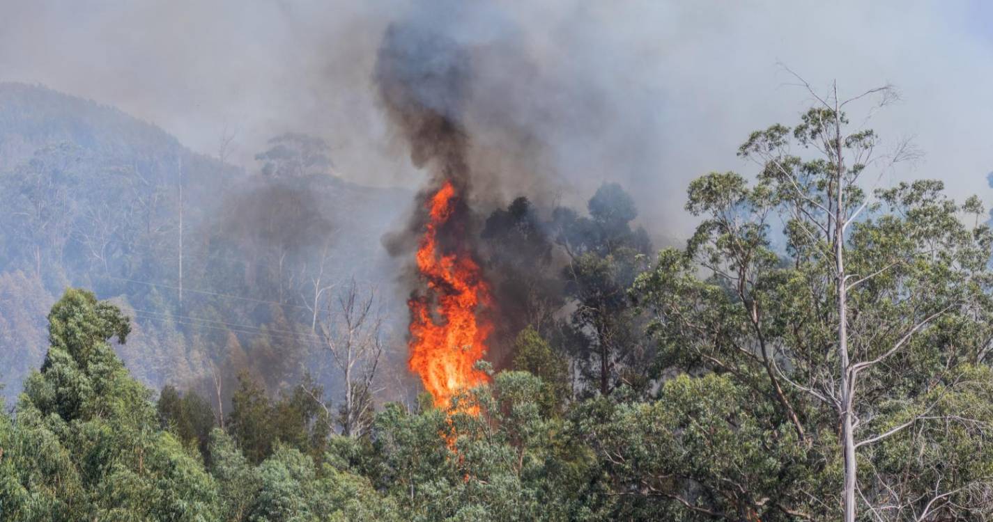 Mais de 40 concelhos de sete distritos em perigo máximo de incêndio