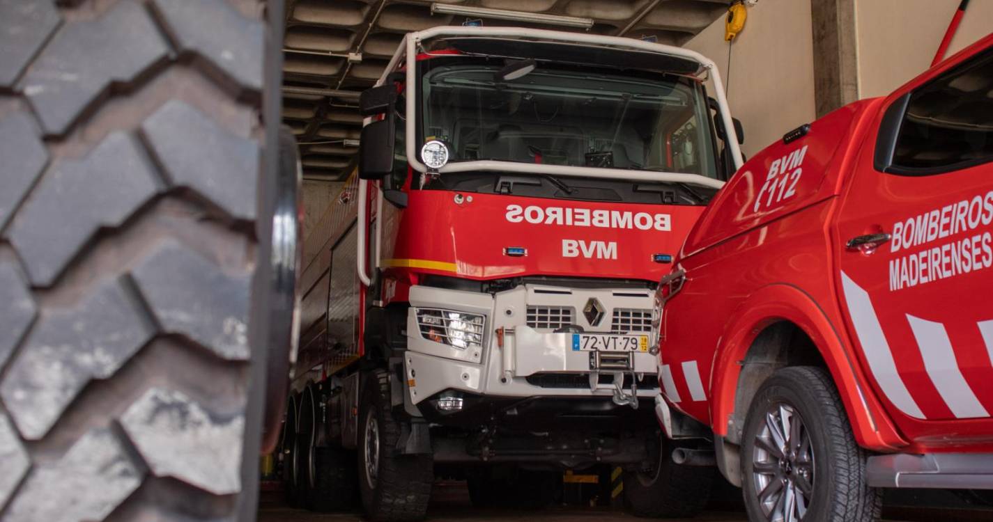 Bombeiros resgatam dois cães no Funchal