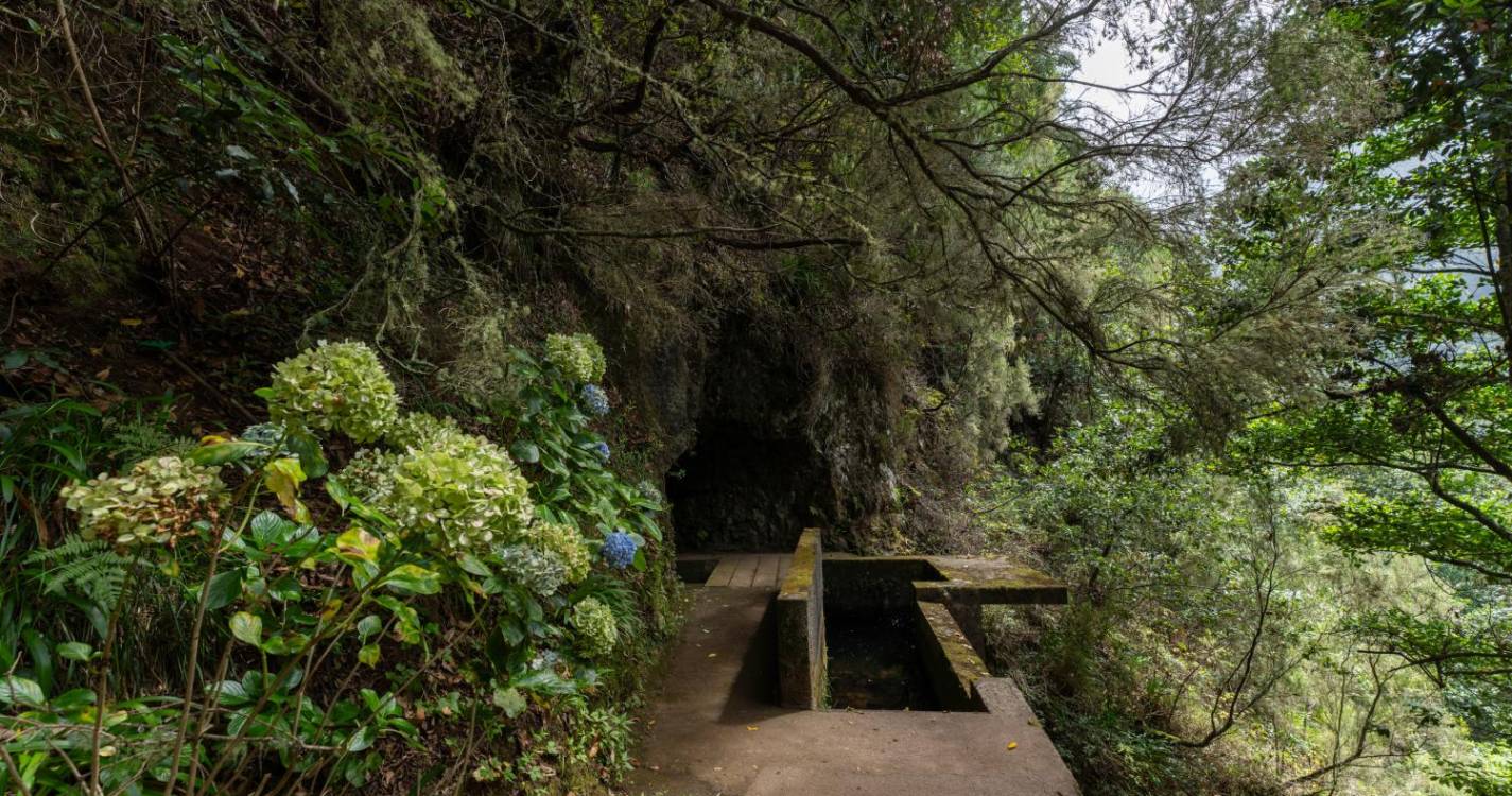 Turista sofre queda na zona da Choupana