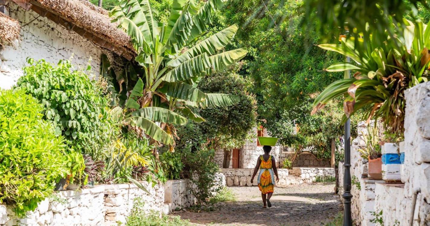 Cabo Verde cria empresa de logística e distribição de produtos agrários