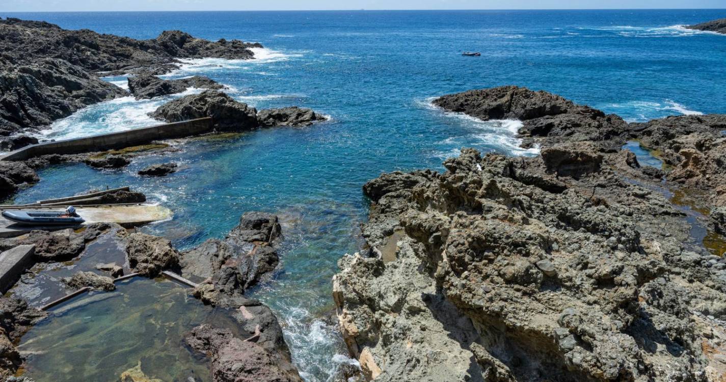 Várias ONG’s condenam abertura da Reserva Natural das Ilhas Selvagens à pesca do atum