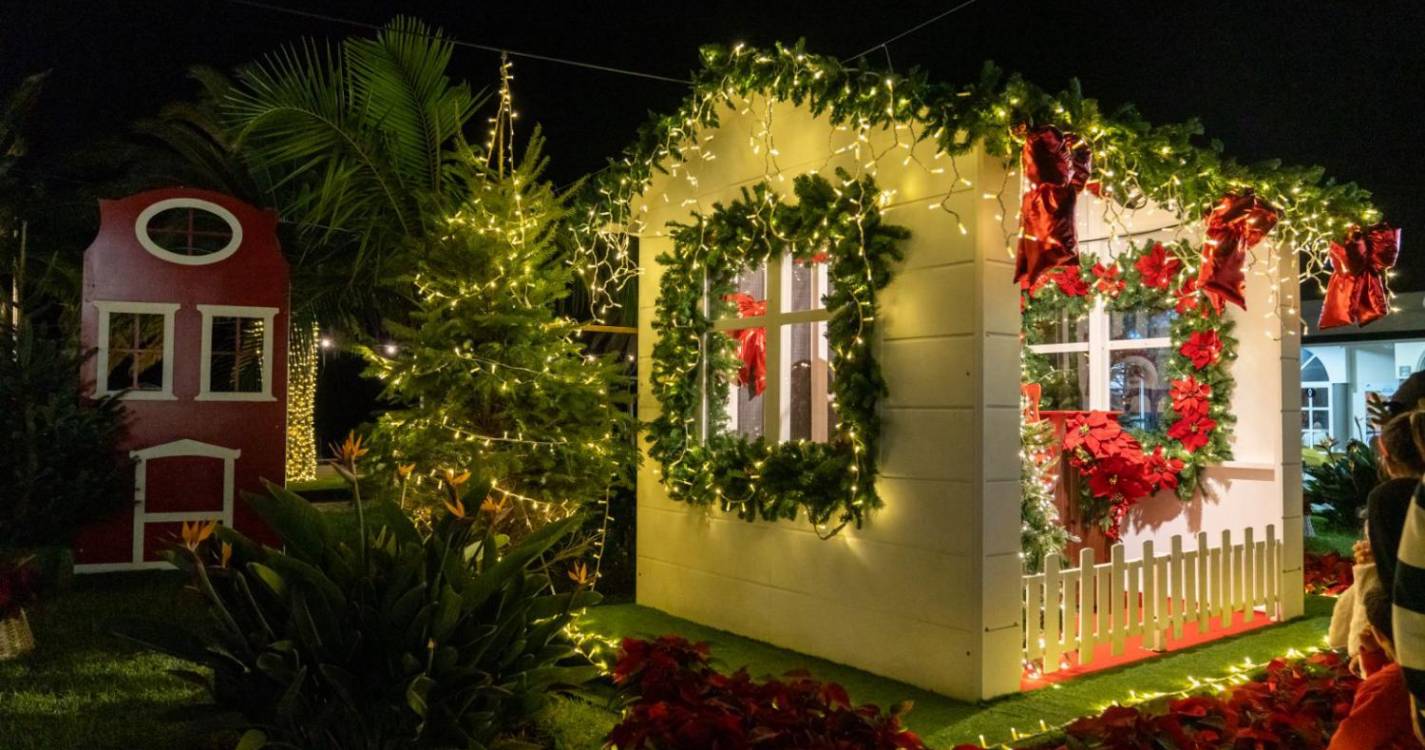 Veja a iluminação e decoração de Natal em Santa Cruz