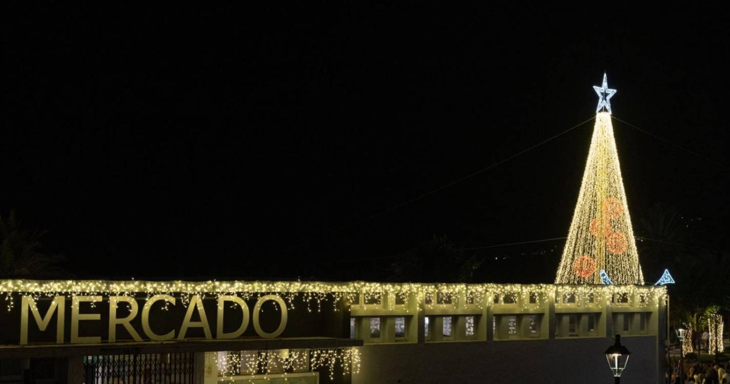 Veja a iluminação e decoração de Natal em Santa Cruz